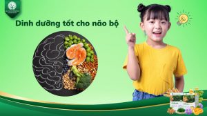Chế độ dinh dưỡng ảnh hưởng như thế nào đến sự phát triển của trẻ