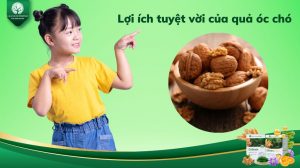 Quả óc chó và 9 lợi ích tuyệt vời đối với sức khỏe trẻ nhỏ