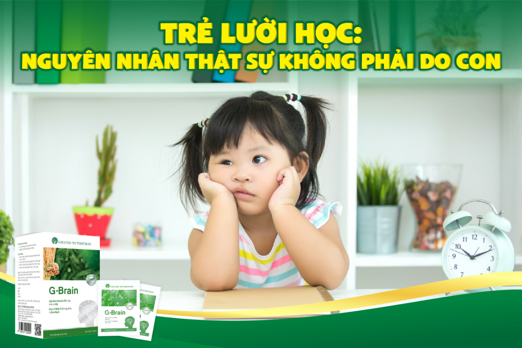 TRẺ LƯỜI HỌC: NGUYÊN NHÂN THẬT SỰ KHÔNG PHẢI DO CON