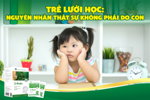 TRẺ LƯỜI HỌC: NGUYÊN NHÂN THẬT SỰ KHÔNG PHẢI DO CON
