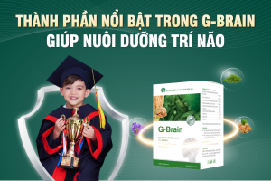 THÀNH PHẦN NỔI BẬT TRONG G-BRAIN – CHÌA KHÓA NUÔI DƯỠNG TRÍ NÃO CHO TRẺ