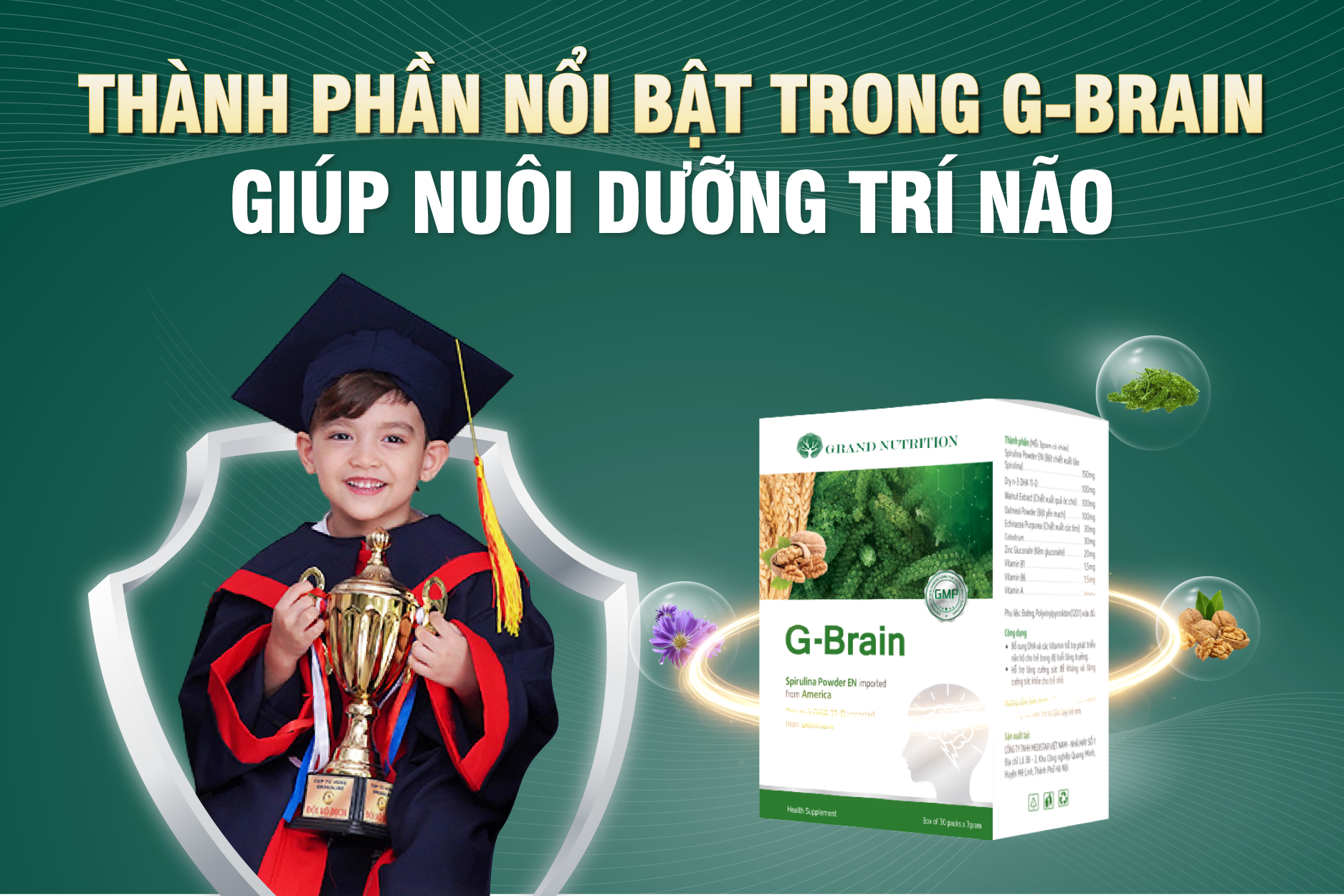 THÀNH PHẦN NỔI BẬT TRONG G-BRAIN – CHÌA KHÓA NUÔI DƯỠNG TRÍ NÃO CHO TRẺ