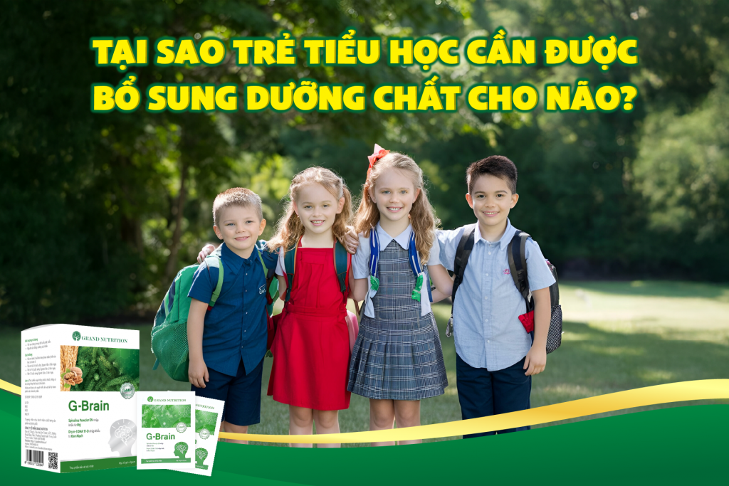 TẠI SAO TRẺ TIỂU HỌC CẦN ĐƯỢC BỔ SUNG DƯỠNG CHẤT CHO NÃO?
