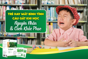 TRẺ HAY MẤT BÌNH TĨNH, CÁU GẮT KHI HỌC: NGUYÊN NHÂN & CÁCH KHẮC PHỤC